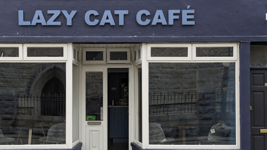 Lazy Cat Café Cahersiveen